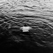 Rudeboy Design cover image cdn