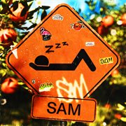 SAM cover image cdn