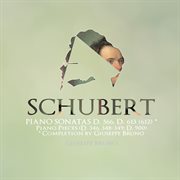 Schubert : Piano Sonatas, D. 566, D. 613 & Other Piano Works cover image cdn