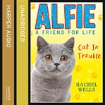 Alfie Cat in trouble cover image cdn