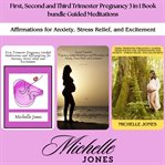 First, Second and Third Trimester Pregnancy 3 in 1 Book bundle Guided Meditations cover image cdn