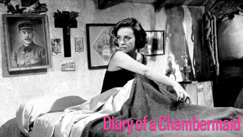 Diary of a Chambermaid cover image cdn