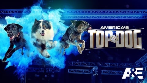 America's Top Dog: S1 cover image cdn