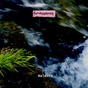 Baldvin cover image cdn