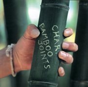 Bomboo Joints cover image cdn