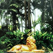 Born To Be Free cover image cdn