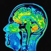 Bushido cover image cdn