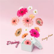 Daisy cover image cdn