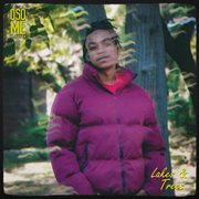 Lakes & Trees cover image cdn