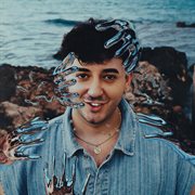 Salsedine cover image cdn