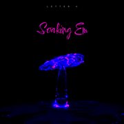 Soaking Em cover image cdn