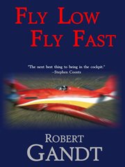 Fly Low Fly Fast cover image cdn