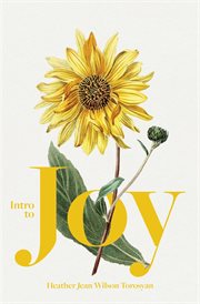 Intro to Joy cover image cdn