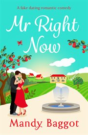Mr Right Now : An uplifting, heart-warming read from top 20 bestseller Mandy Baggot for summer 2024 cover image cdn