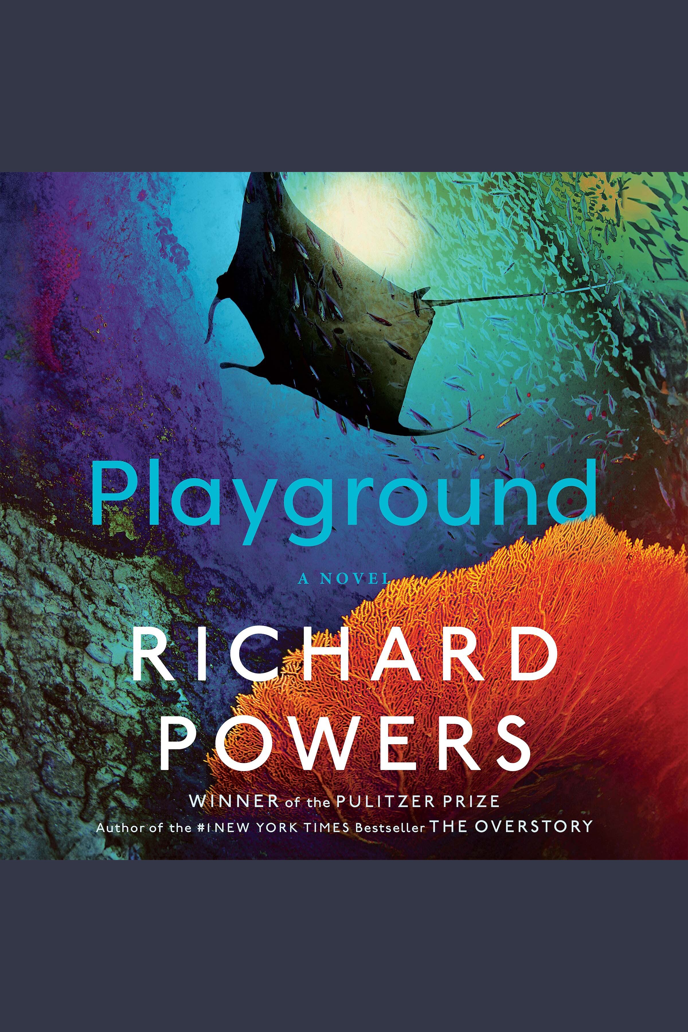 Playground cover image cdn