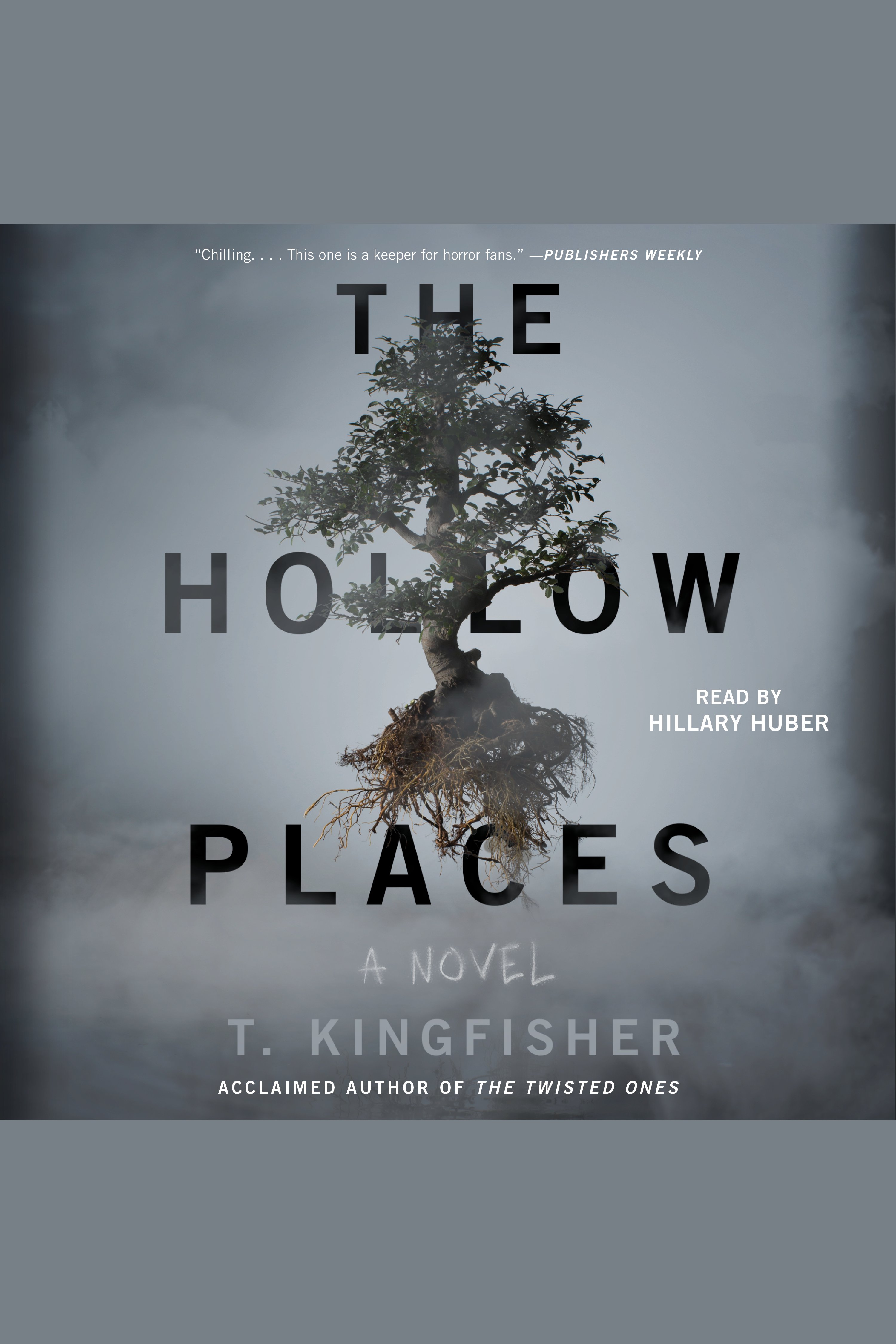 The Hollow Places cover image cdn