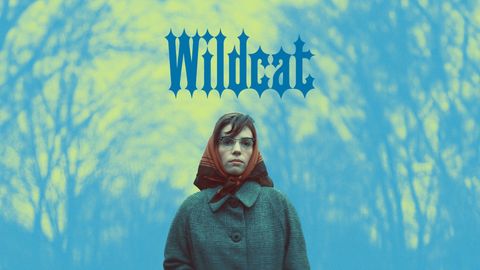 Wildcat cover image cdn