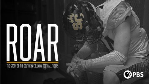 ROAR cover image cdn