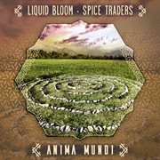 Anima Mundi cover image cdn