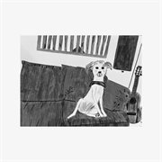 Bye Bye Radio (Low) cover image cdn