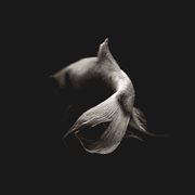 Celesta cover image cdn