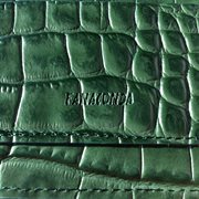 FANACONDA cover image cdn