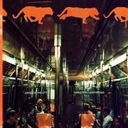 Jungle In The City cover image cdn