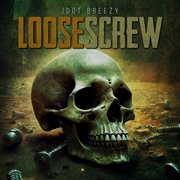 Loose Screw cover image cdn