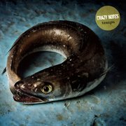 Temps cover image cdn