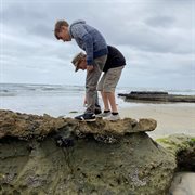 Timeless cover image cdn