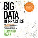 Big Data in Practice : How 45 Successful Companies Used Big Data Analytics to Deliver Extraordinary Results cover image cdn