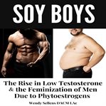 Soy Boys cover image cdn