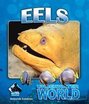 Eels : Underwater World cover image cdn