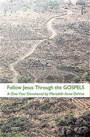 Follow Jesus Through the Gospels : A One-Year Devotional cover image cdn