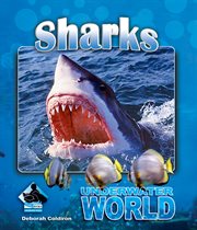 Sharks : Underwater World cover image cdn