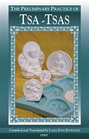 The Preliminary Practice of TSA-TSAS cover image cdn