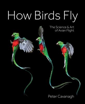 How birds fly : the science and art of avian flight  cover image cdn