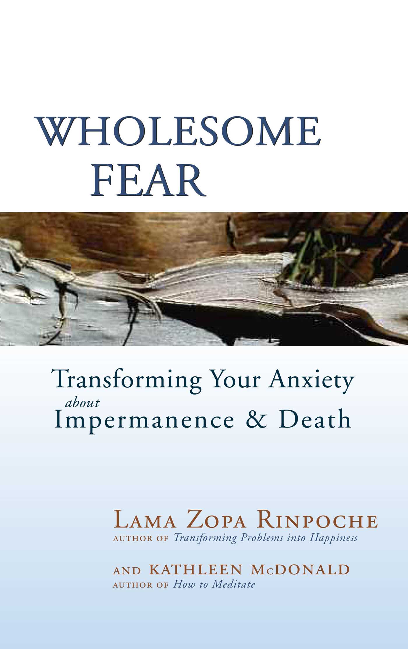 Wholesome Fear Transforming Your Anxiety About Impermanence and Death cover image cdn
