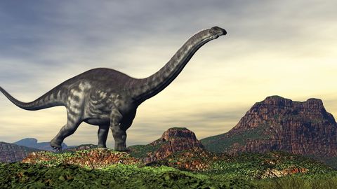 Rediscovering the Age of Dinosaurs. Episode 4 The Saurischia: Sharp Teeth, Long Necks cover image cdn