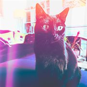 August cover image cdn