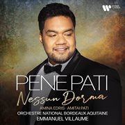 Nessun dorma cover image cdn