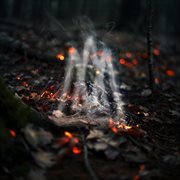 Puster Til Gløder cover image cdn