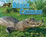 Black caiman cover image cdn
