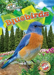 Bluebirds : Backyard Birds cover image cdn