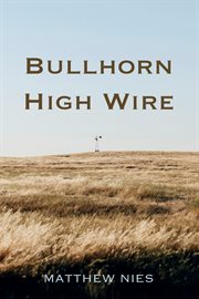 Bullhorn High Wire cover image cdn