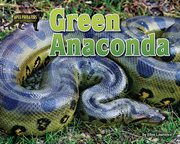 Green anaconda cover image cdn