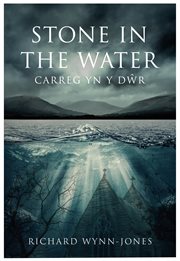 Stone in the Water : Carreg Yn Y DWR cover image cdn