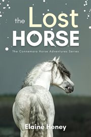 The Lost Horse : Connemara Adventures cover image cdn