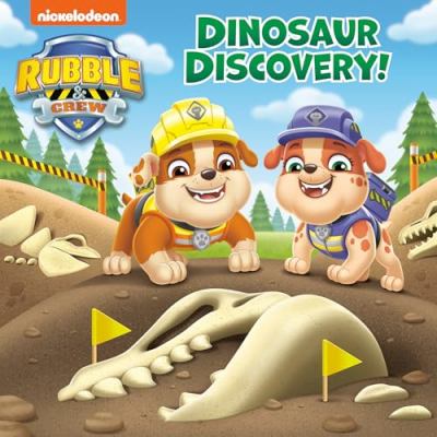 Dinosaur discovery!  cover image cdn