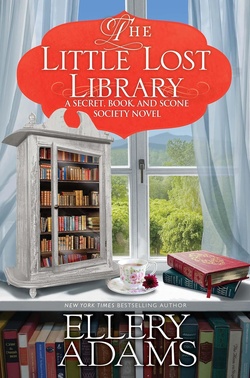 The Little Lost Library cover image cdn